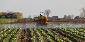 Beneficios fiscales para el sector agropecuario - Ecovis en Uruguay