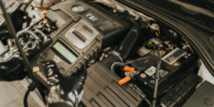 Proyectos de Ley - Ecovis en Uruguay