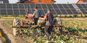 IVA Gasoil – Devolución - Ecovis en Uruguay