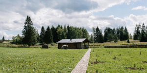 Índice Medio del Incremento de los Precios de Venta de los Inmuebles Rurales (IMIPVIR) - Ecovis en Uruguay