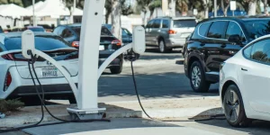 Proyectos de Ley - Ecovis en Uruguay