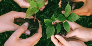 Acercamiento a los reportes de sostenibilidad - Ecovis en Uruguay