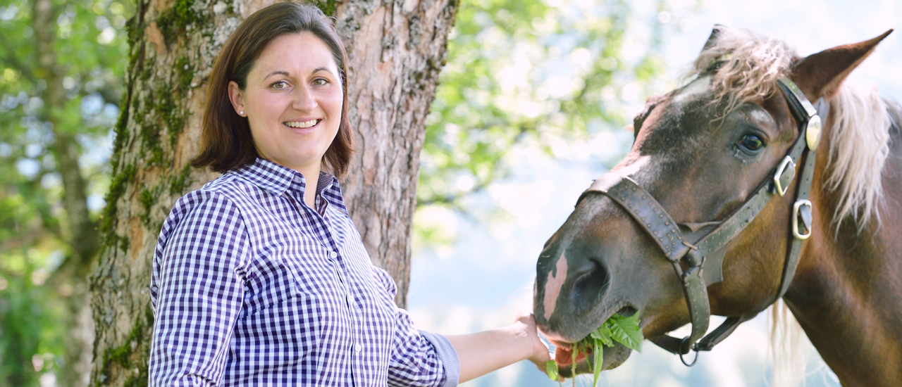 Pferdezucht und -handel in Vechta
