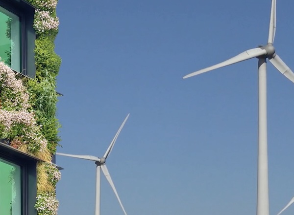 Nachhaltigkeitsbericht - Ecovis Wirtschaftsprüfer